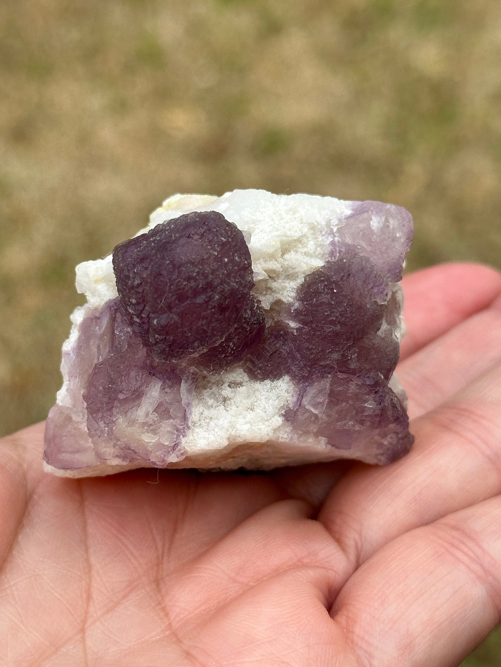 Rare Chamfered Purple Fluorite or Permutahedron Fluorite Specimens in a Quartizide Matrix