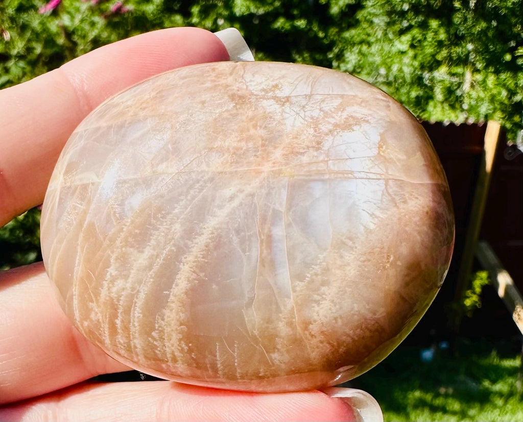 509 Grams of Harmonious Duo: Peach Moonstone Sphere & Flashing Palm Stone Set