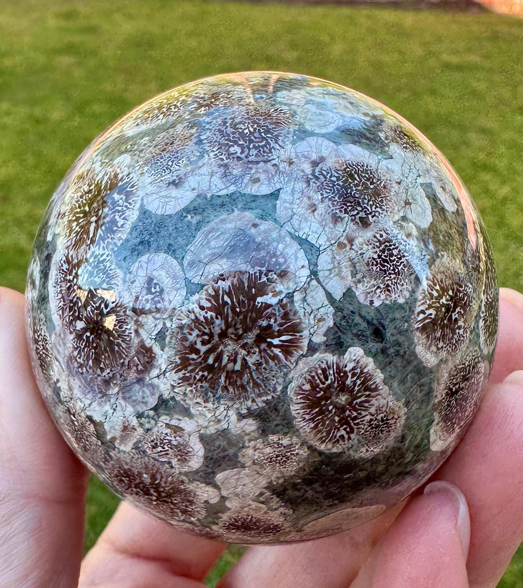 Beautiful Russian Flower Agate Angel Wings & Sphere Set sourced from Madagascar