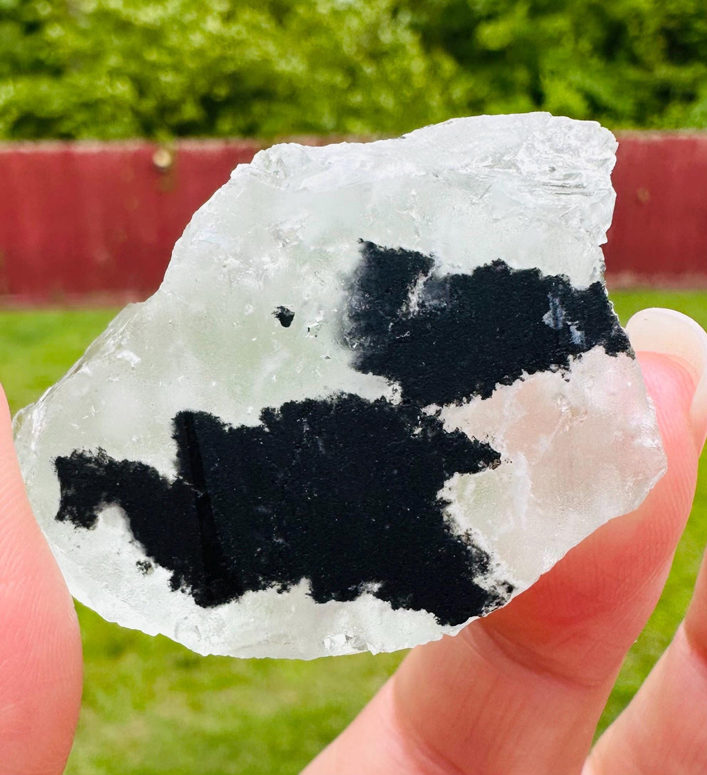 43 Grams Gentle Growth Translucent Light Green Cubic Fluorite Mini Cluster: Heart Healer and Focus Stone Embrace