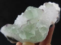 127 Grams Beautiful Light Green Octahedron with Purple Phantoms over White Quartz