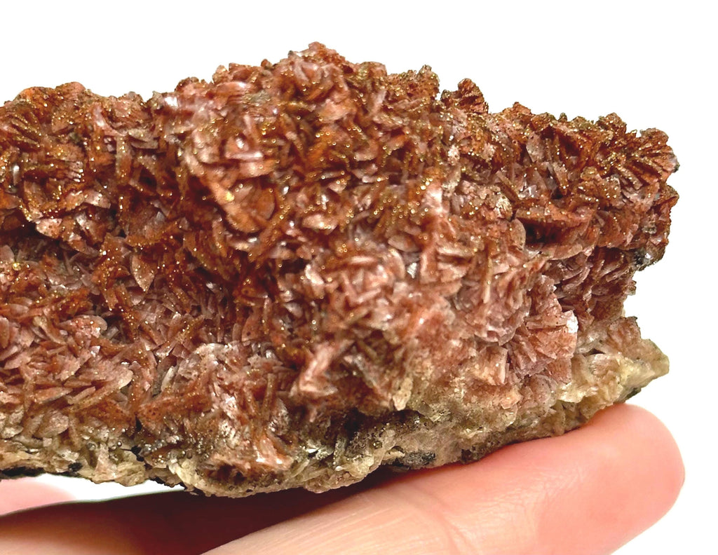 154 Grams One-of-a-Kind Bronze Barite with Pyrite Cubes, Petal-Like Crystal Formation from Morocco  Collector must Have