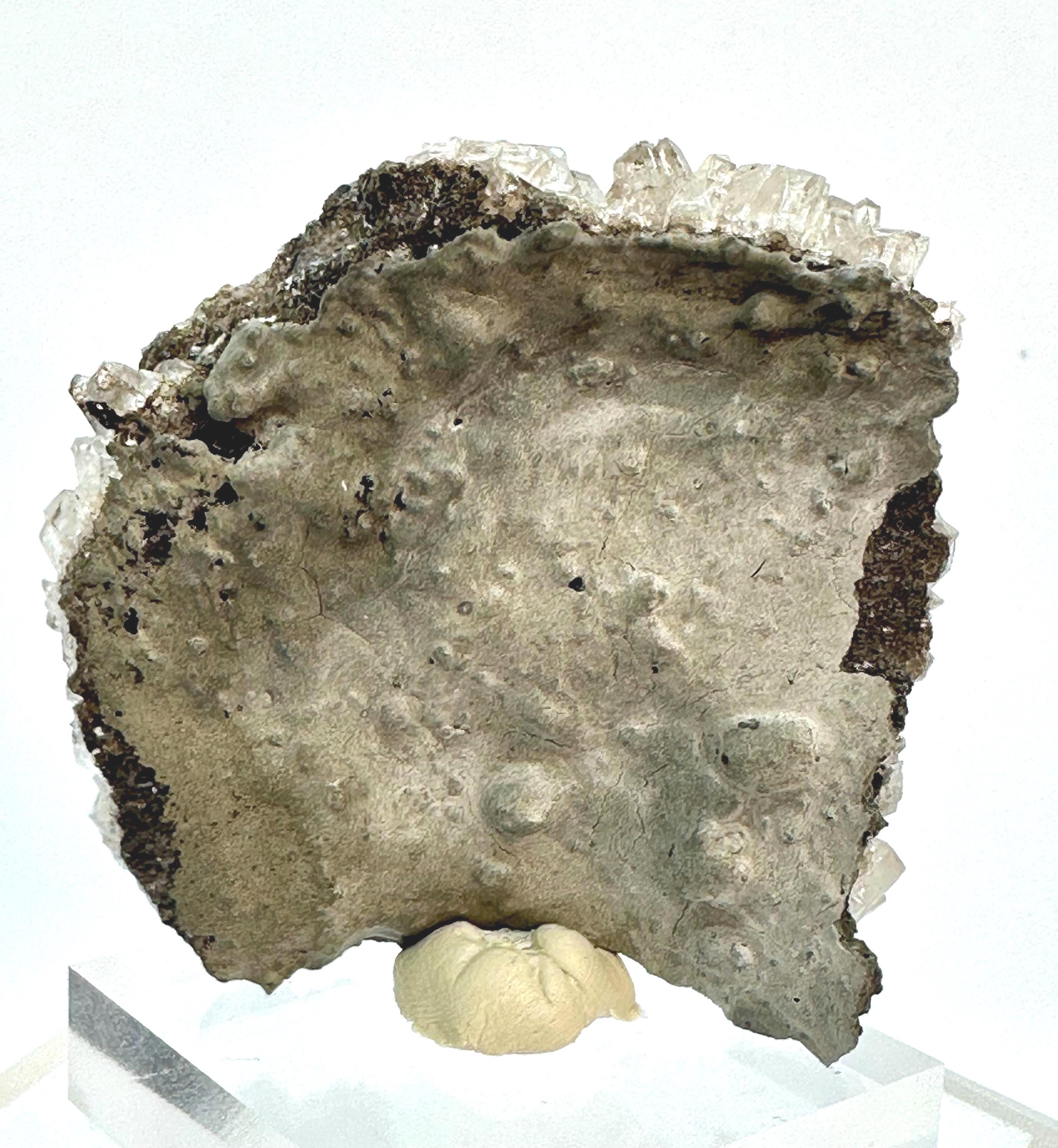 59 Grams Smoky Columnar Calcite from Fugian, China