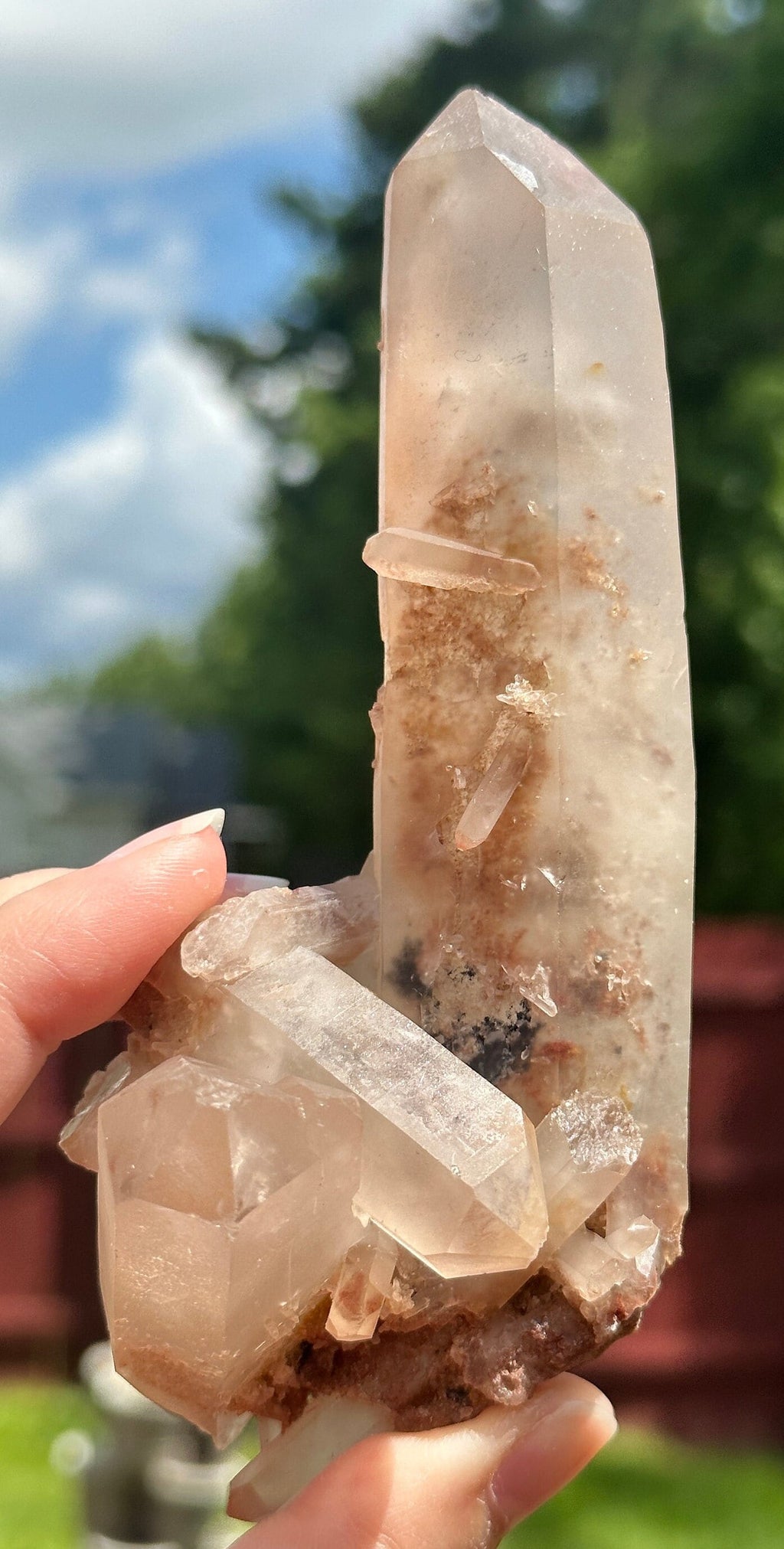 227 Grams Stunning Rich Pink Color Lithium Quartz "nest" Cluster from Brazil