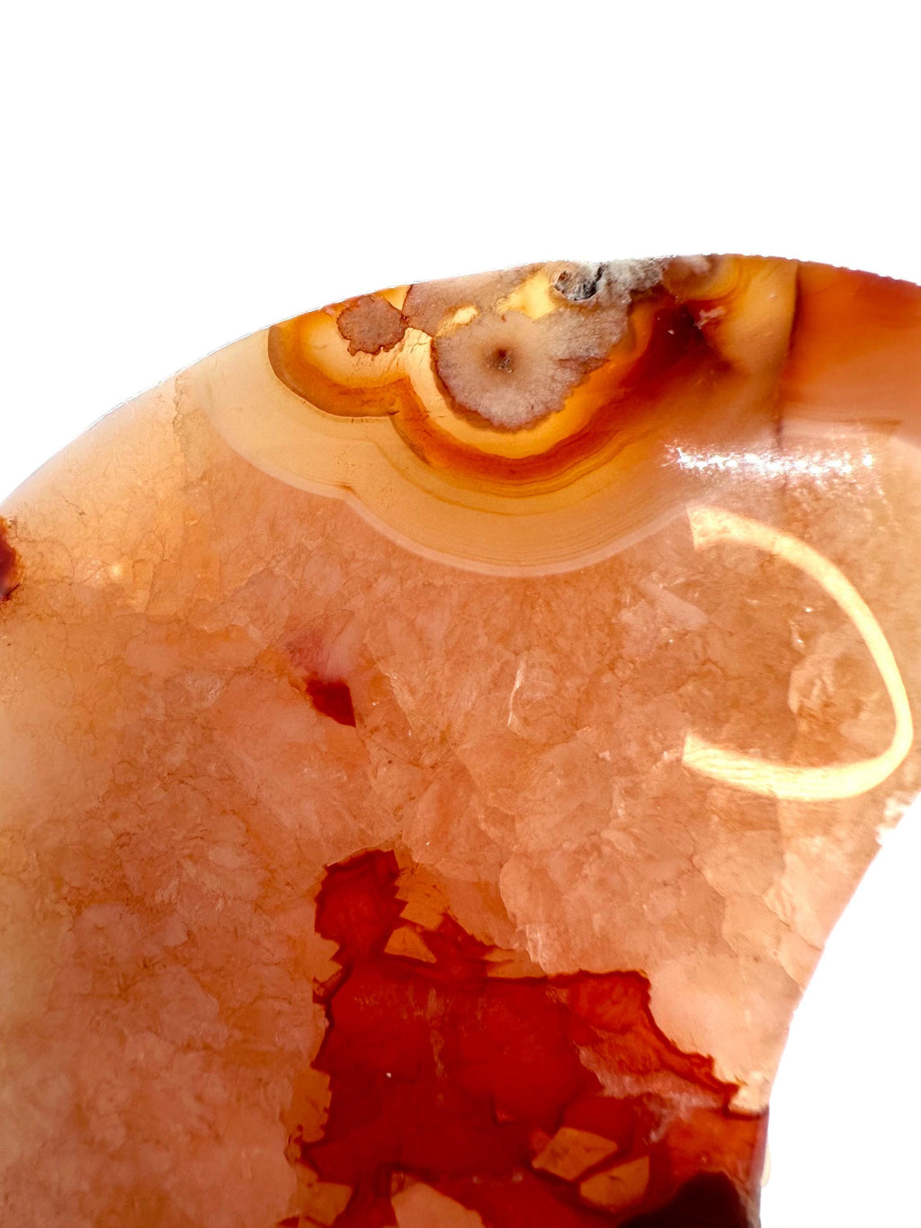 222 Grams Carnelian & Flower Agate Crescent Moon From Madagascar