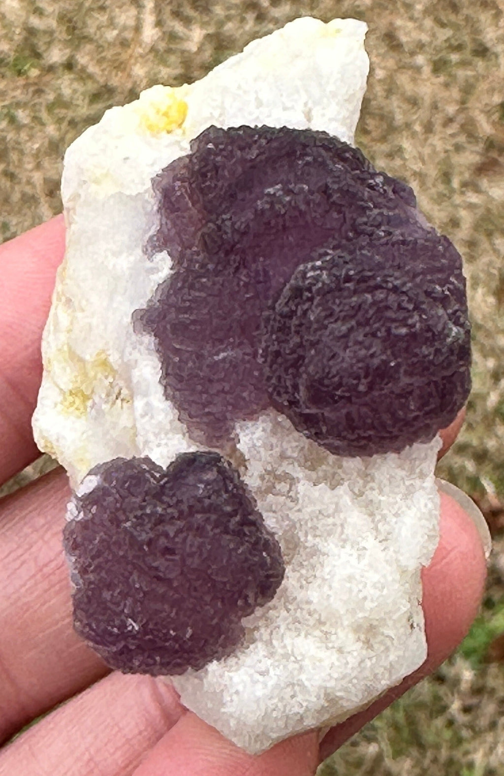 Rare Chamfered Purple Fluorite or Permutahedron Fluorite Specimens in a Quartizide Matrix