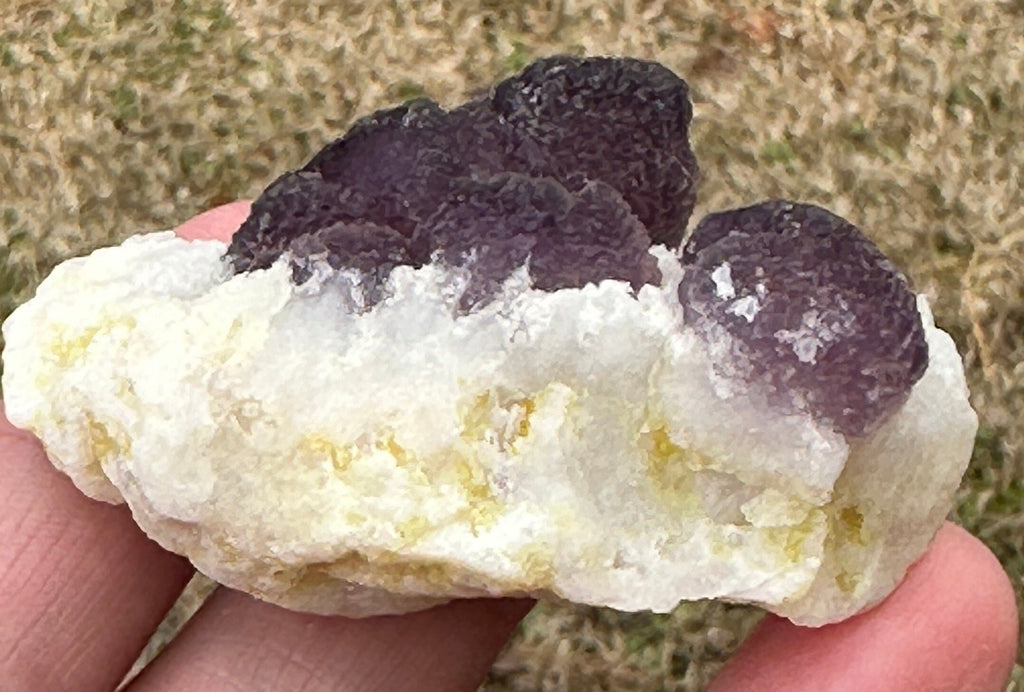 Rare Chamfered Purple Fluorite or Permutahedron Fluorite Specimens in a Quartizide Matrix