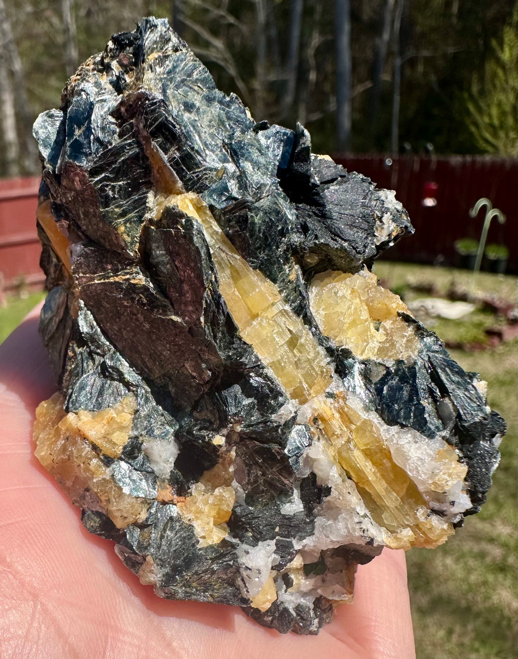 Brazilian Yellow Tourmaline in Biotite