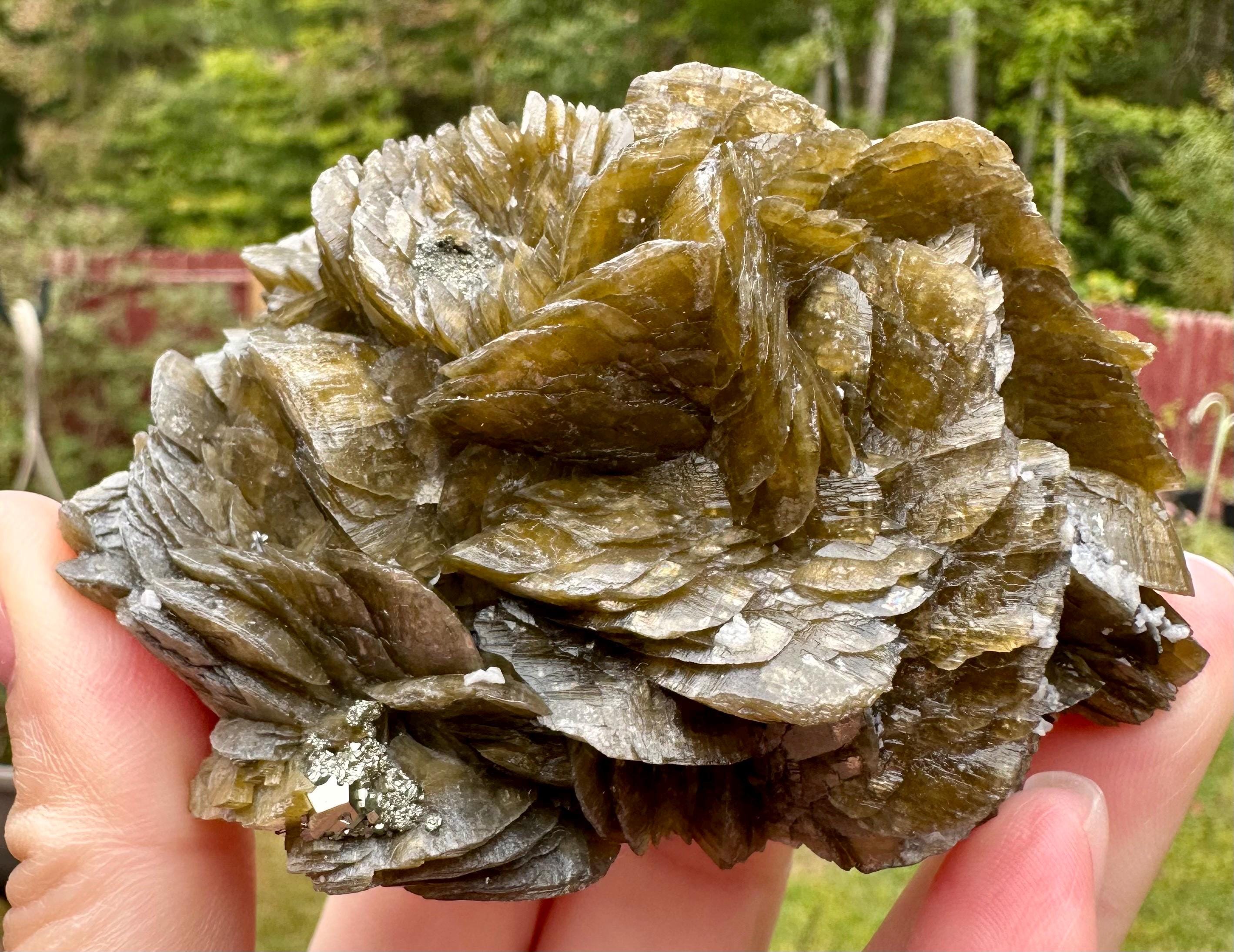 333 Grams Military Green Siderite Rosette with Dolomite, Earth’s Quiet Armor from Bijie Provence, Juizhou, China
