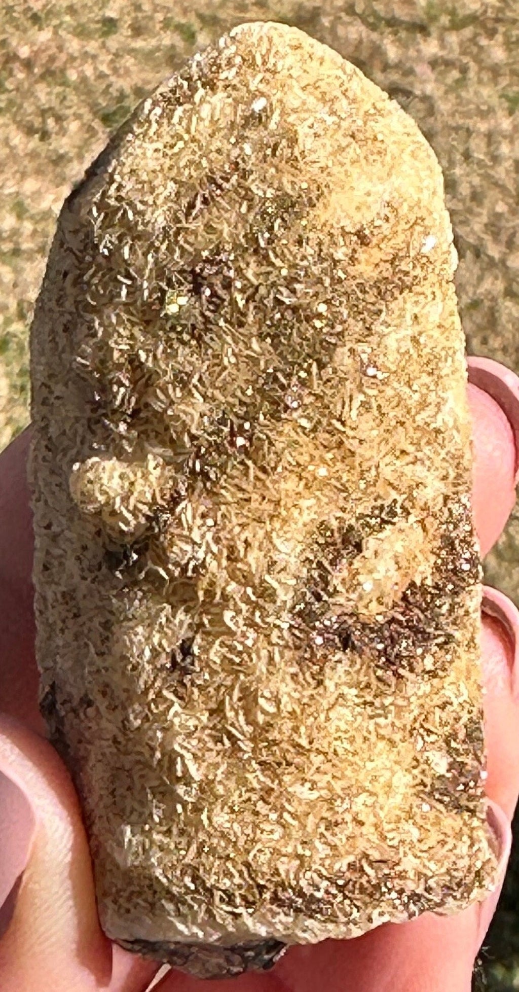 91 Grams Black Morion Quartz covered with Siderite scales and Irrisdecent Chalcopyrite patches