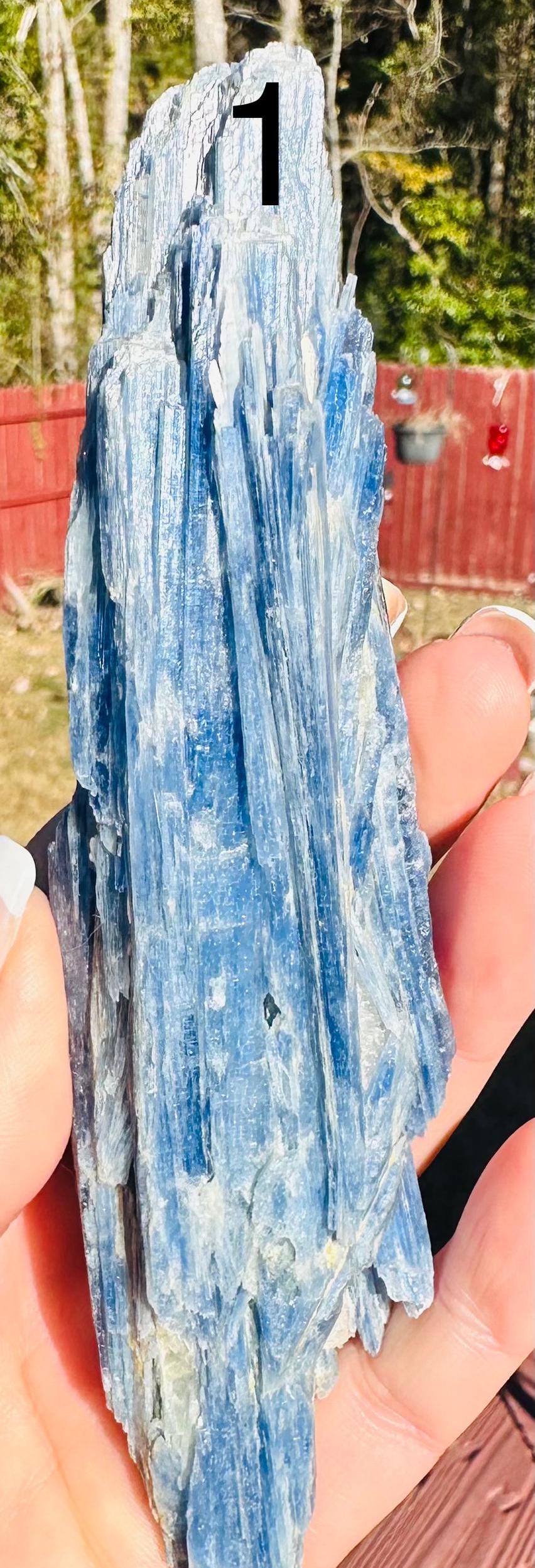 Your Choice of Paraiba Blue Kyanite in Quartz