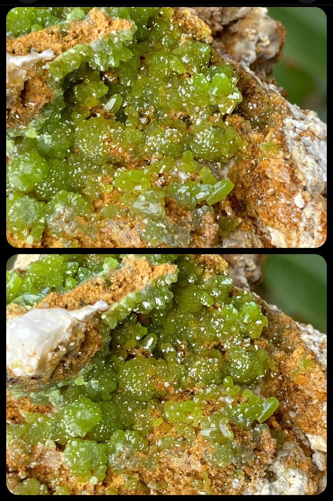 Very Sparkly Bright Green Pyromorphite Specimens / boitroyd or flower like formation