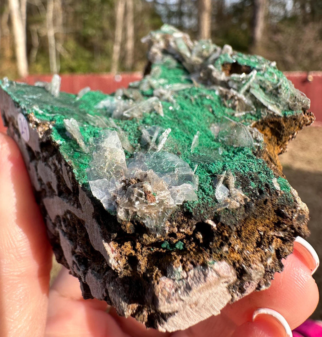 152 Grams Clear Barite blades in green "sandy granular like" Atacamite specimen from China