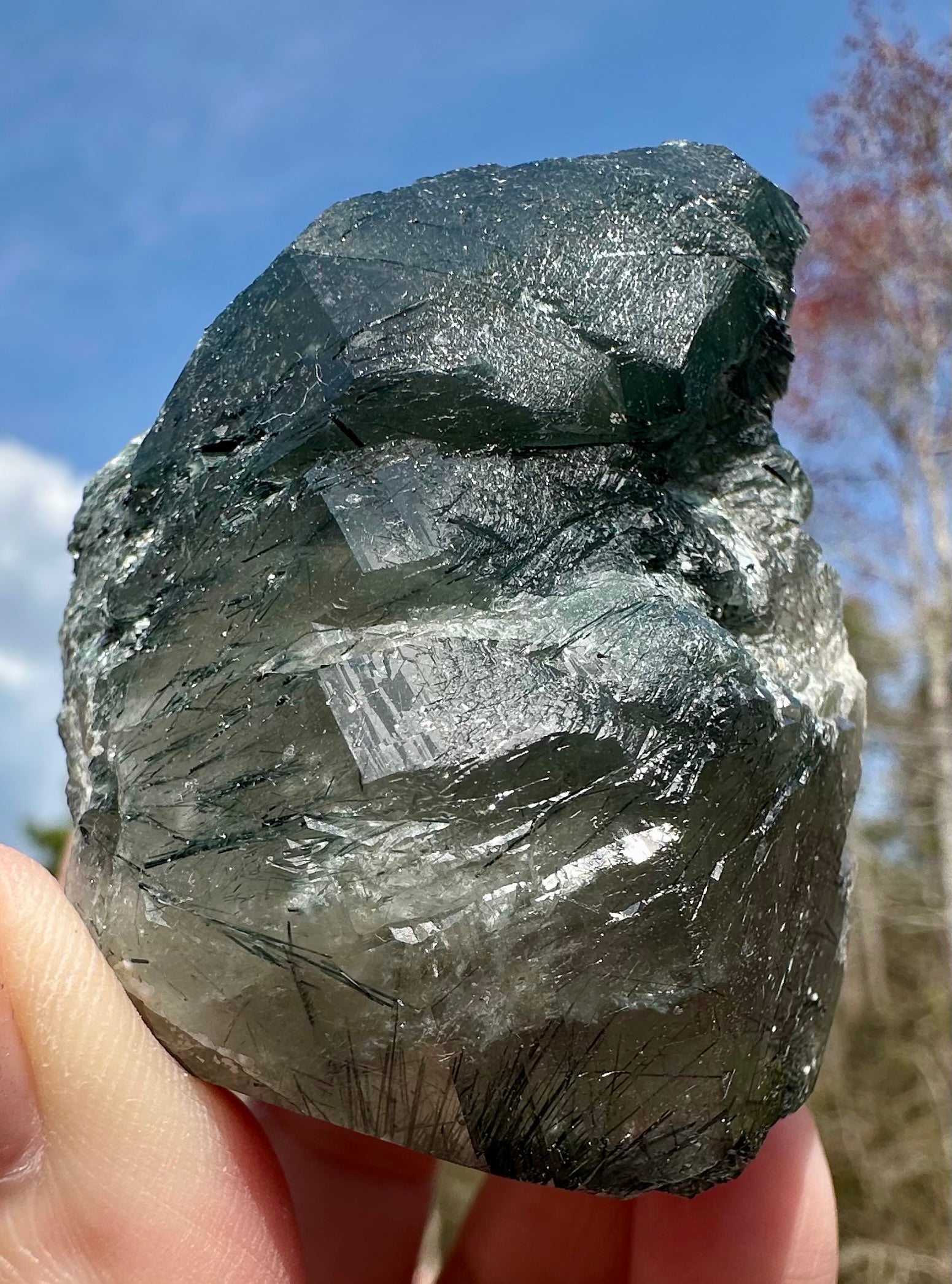 148 Grams Riebeckite-Rich Gwindel‑Like Quartz with Multiple Record Keepers — Skardu, Pakistan
