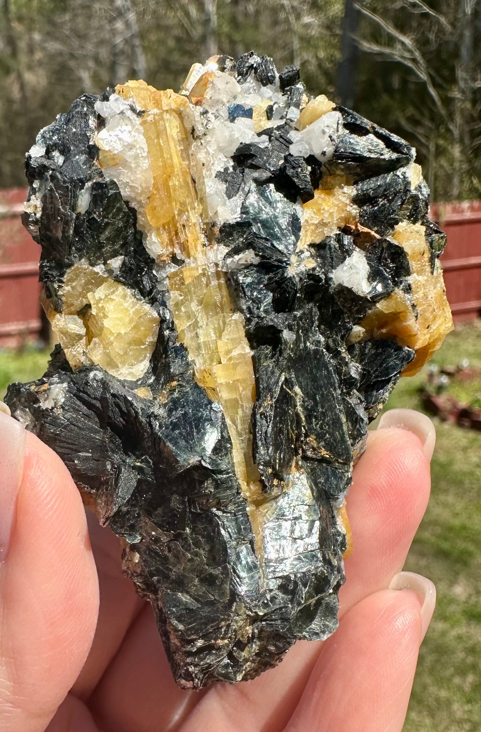 Brazilian Yellow Tourmaline in Biotite