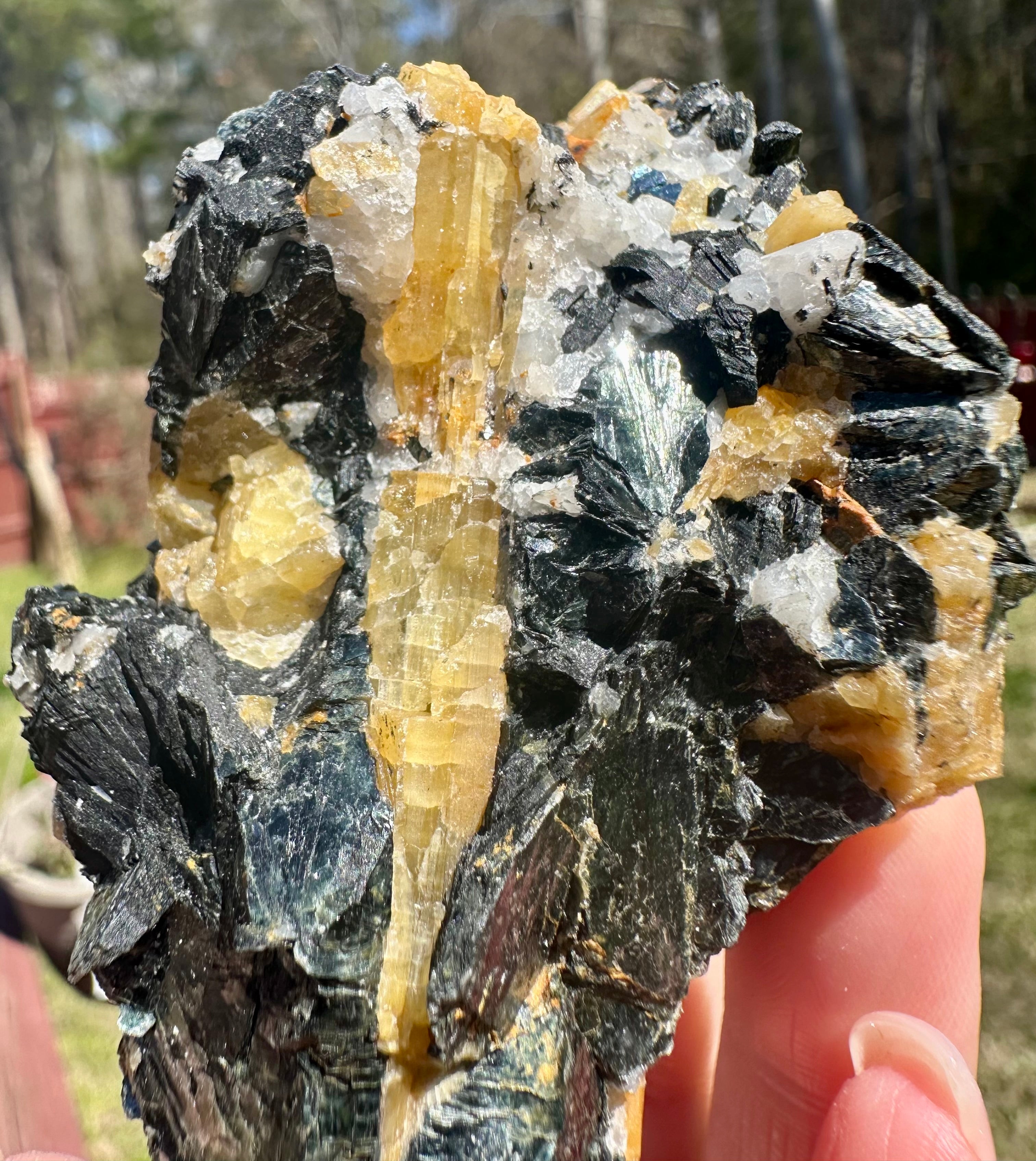 Brazilian Yellow Tourmaline in Biotite