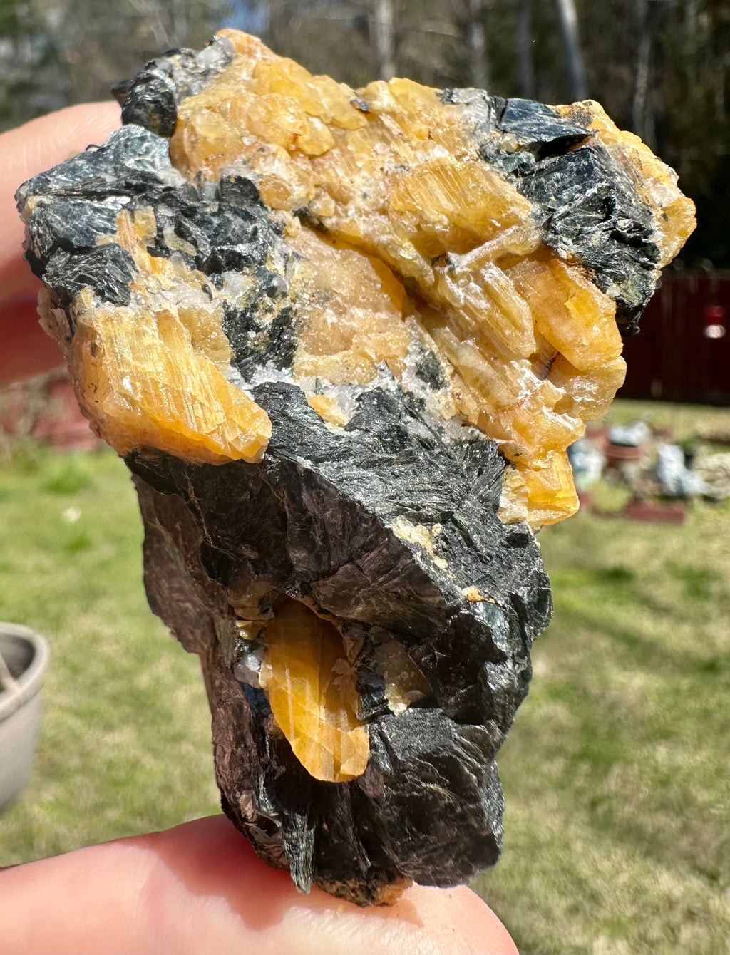 Brazilian Yellow Tourmaline in Biotite