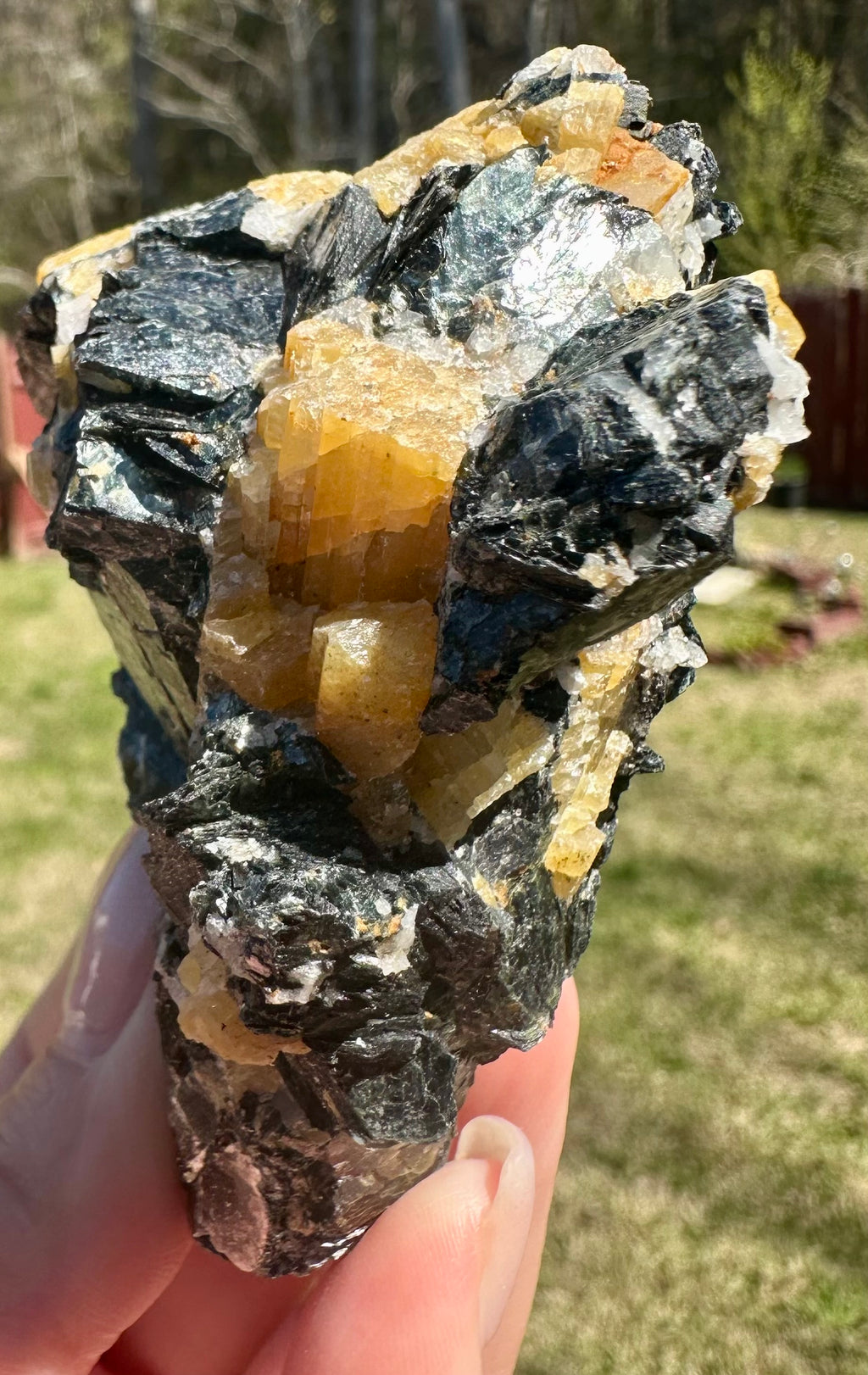 Brazilian Yellow Tourmaline in Biotite