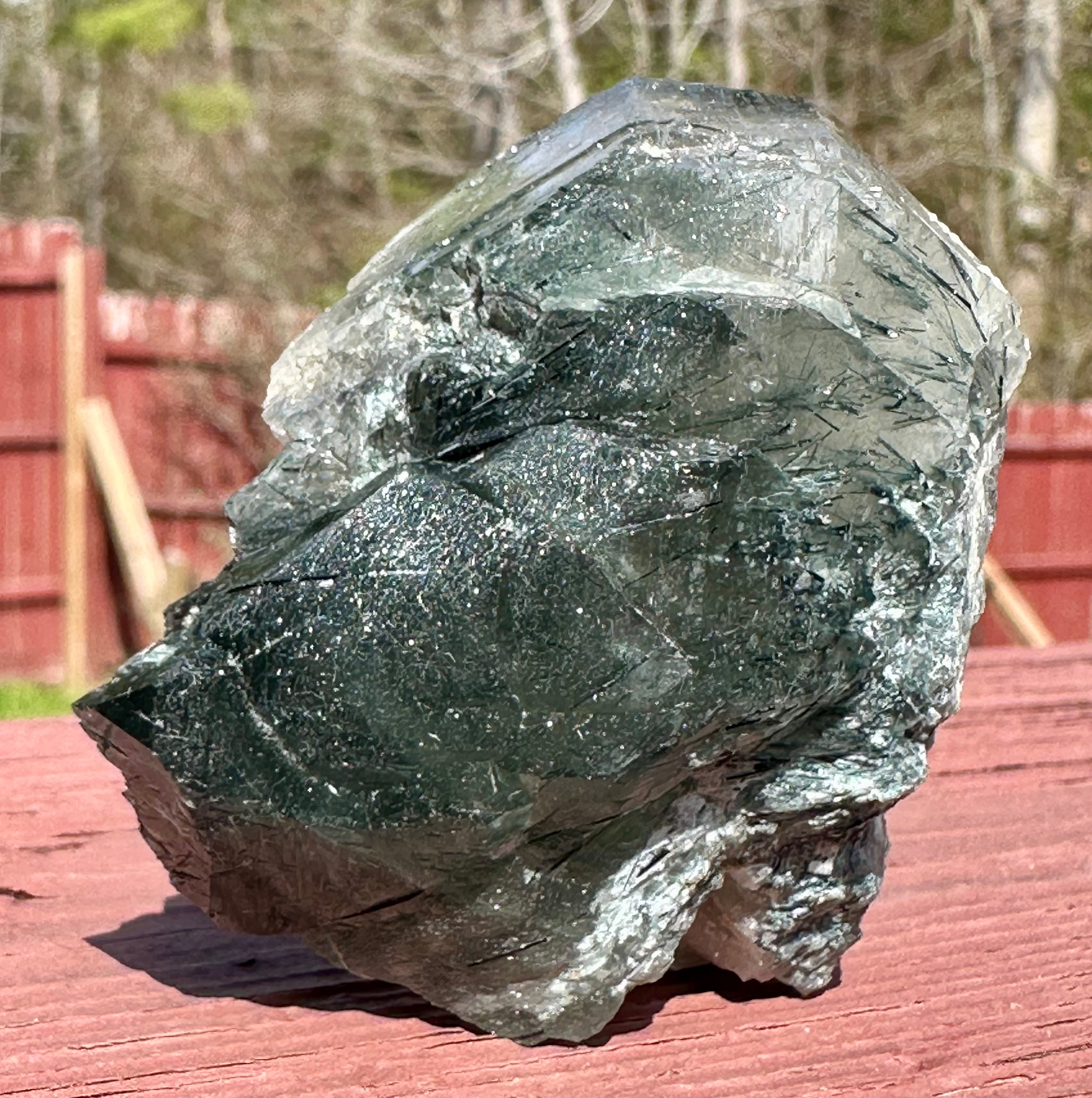 148 Grams Riebeckite-Rich Gwindel‑Like Quartz with Multiple Record Keepers — Skardu, Pakistan
