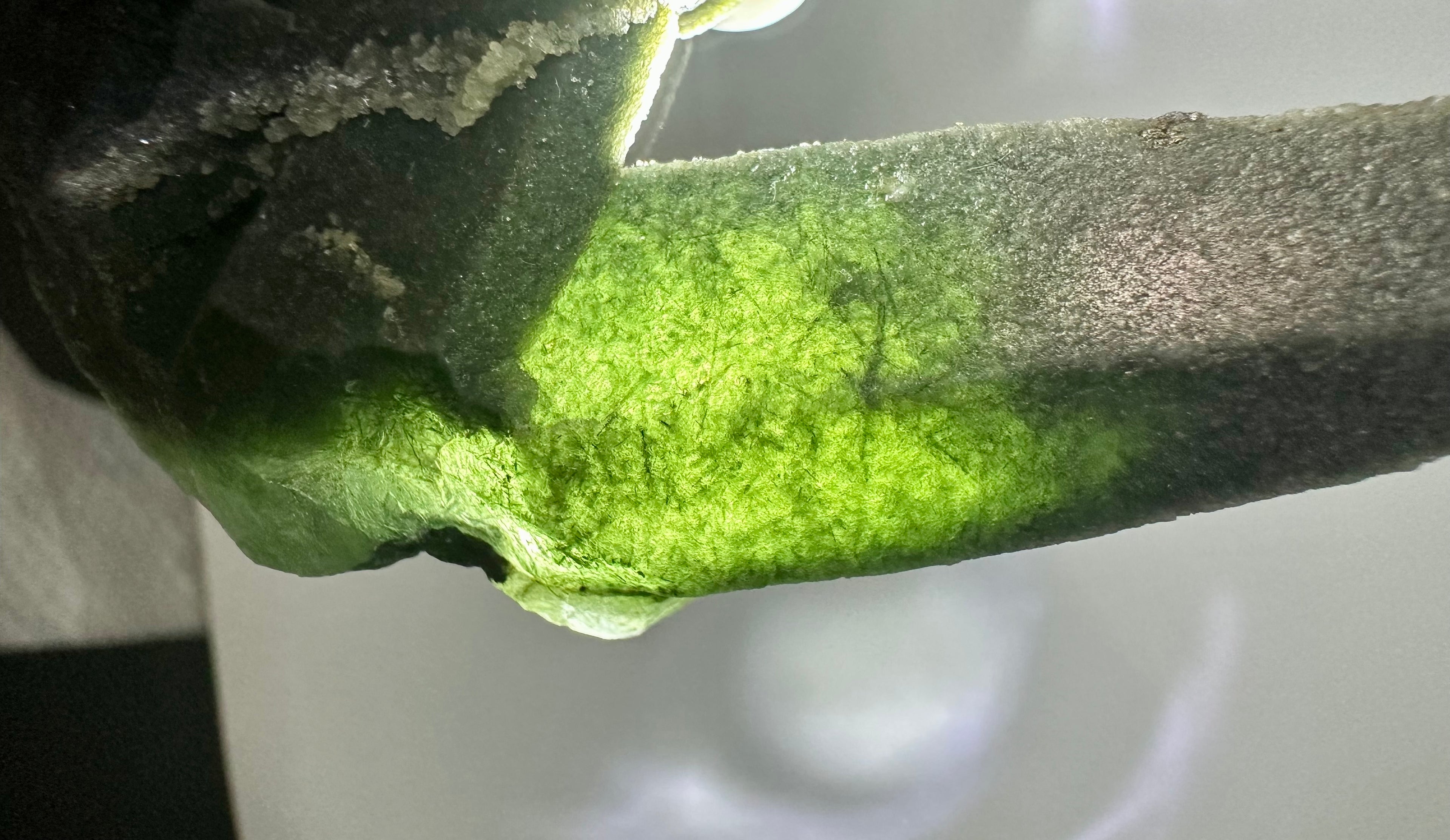 Green Actinolite Twin Point Cluster from Inner Mongolia