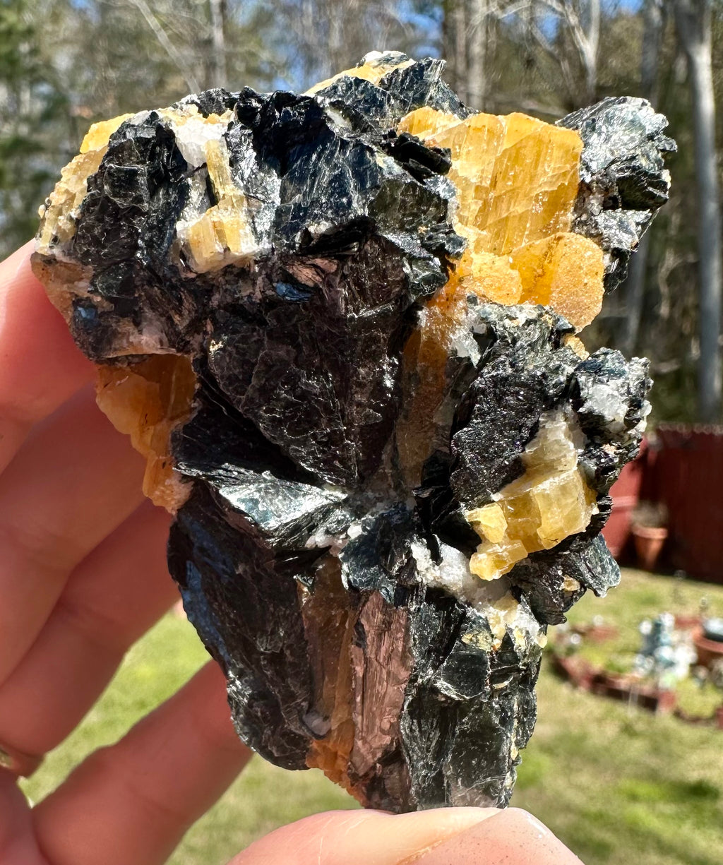 Brazilian Yellow Tourmaline in Biotite
