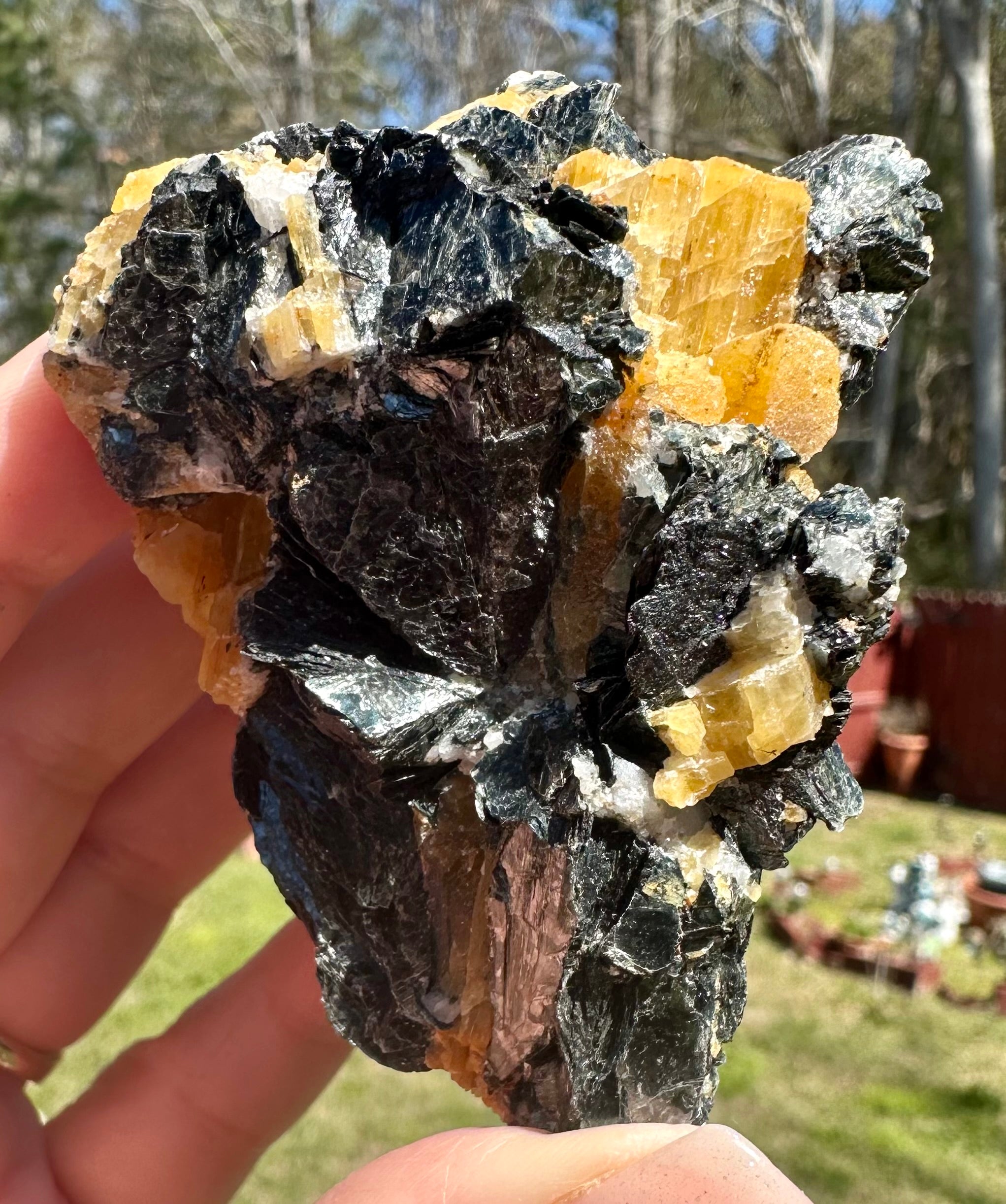 Brazilian Yellow Tourmaline in Biotite