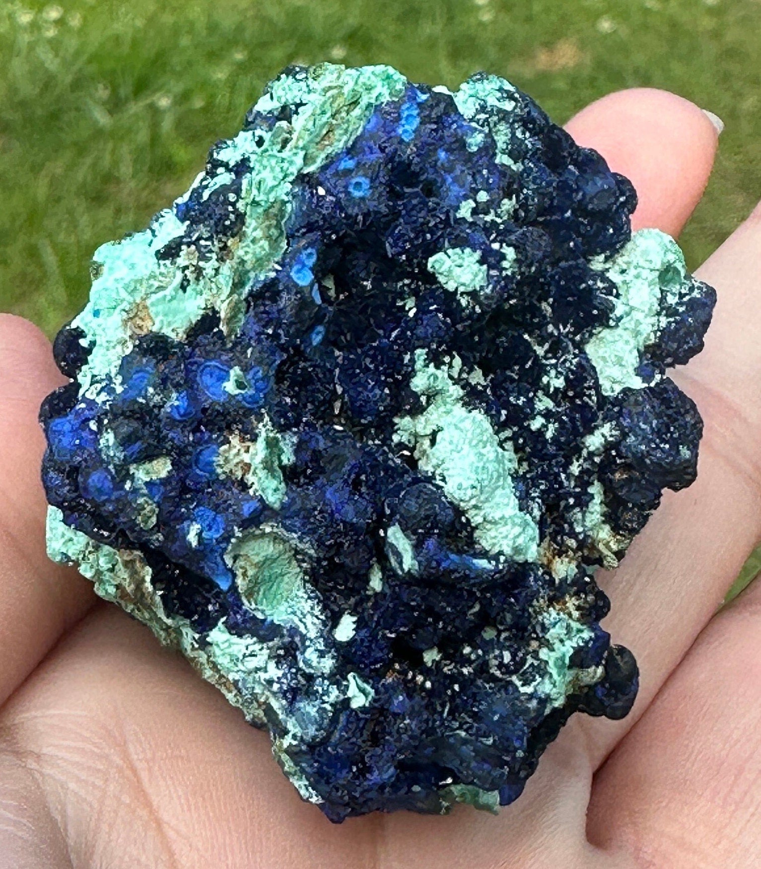118 Grams Amazing Azurite Crystals and “Blueberries “ Cluster in Chrysocolla with some Orbicular Zoning