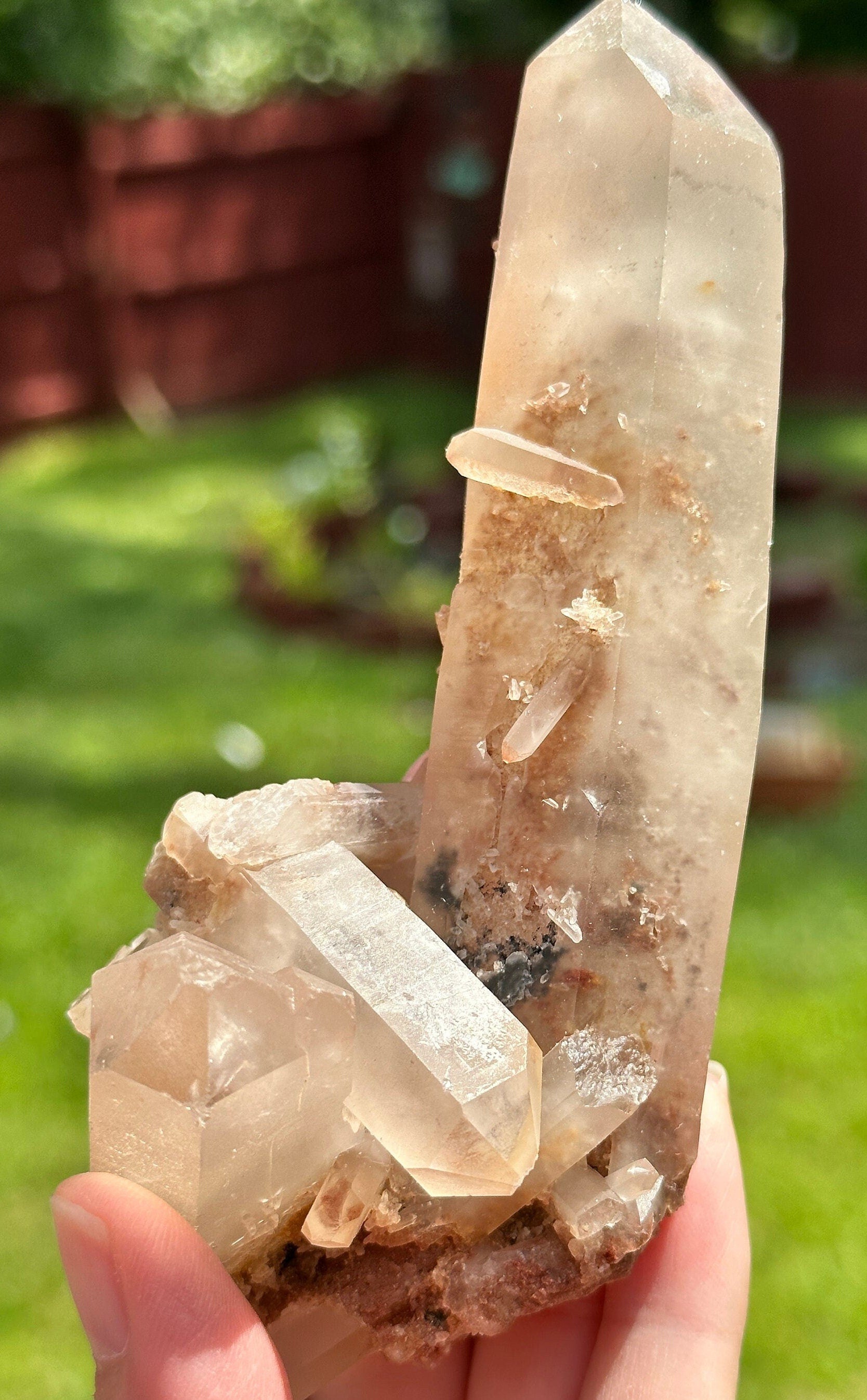 227 Grams Stunning Rich Pink Color Lithium Quartz "nest" Cluster from Brazil