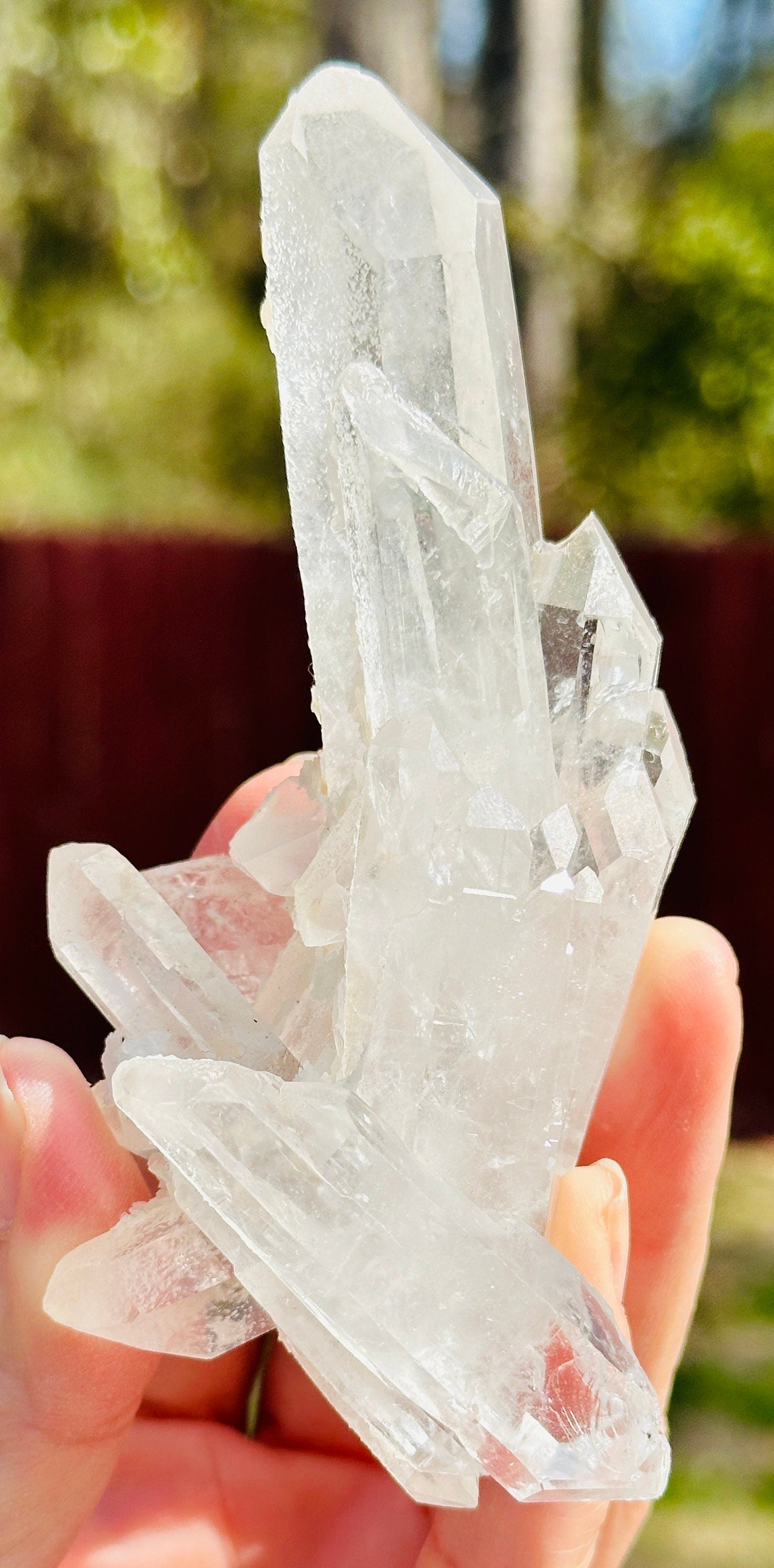 157 Grams Beautiful and Very Special Starbrary Point in a  Clear Quartz Cluster of several DT points.