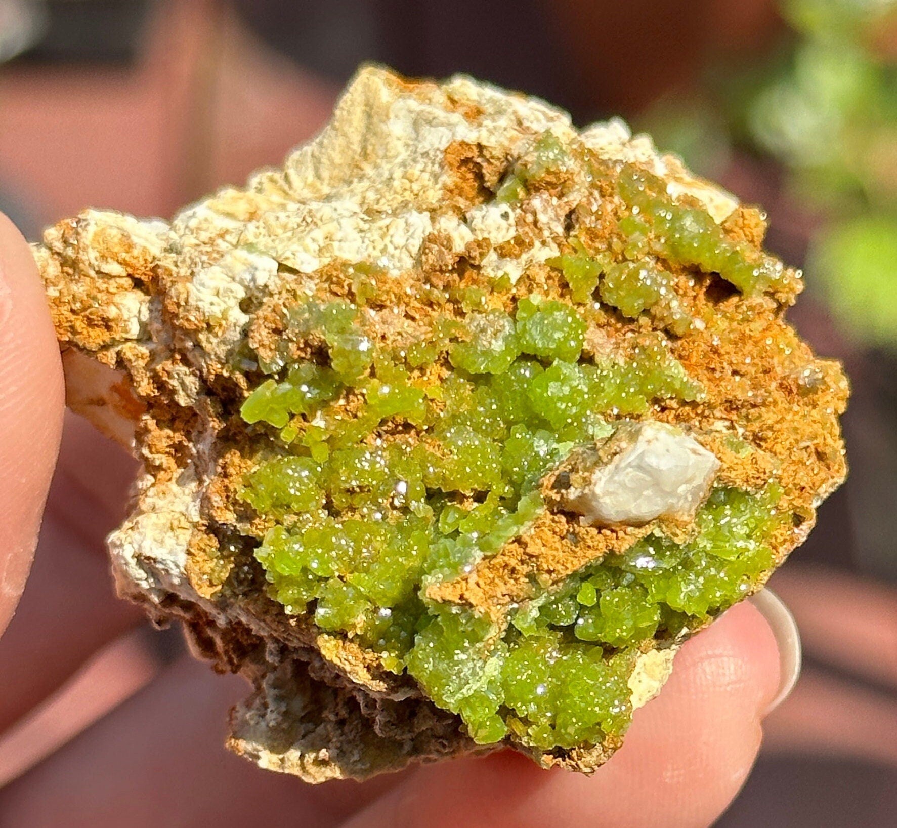 Very Sparkly Bright Green Pyromorphite Specimens / boitroyd or flower like formation