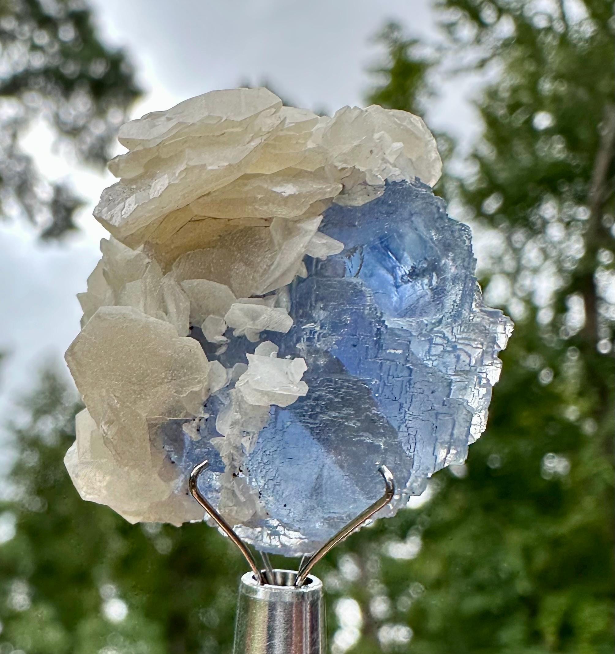 24 Grams HQ Collectors Choice Baby Blue Fluorite with Pagoda Calcite & Pyrite Dust from Fujian Province, China