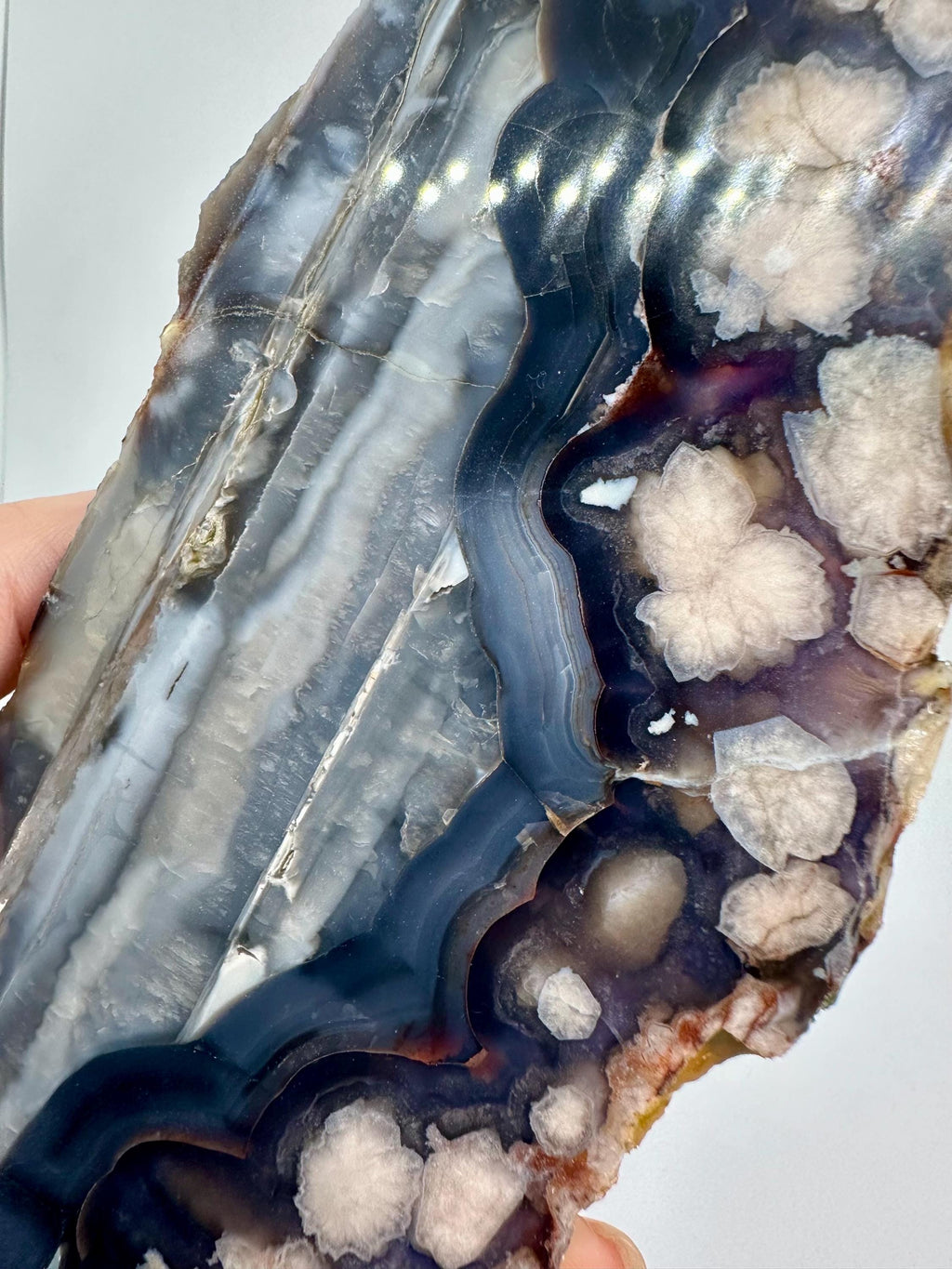 412 Grams Dark Blue Flower Agate Slab from Madagascar