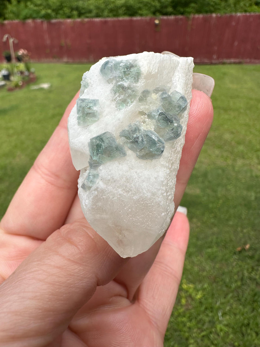 Natural Rare Green Octahedron Fluorite Crystal Mineral Specimen Huanggangliang