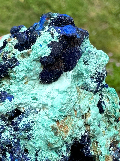 118 Grams Amazing Azurite Crystals and “Blueberries “ Cluster in Chrysocolla with some Orbicular Zoning