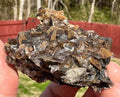 70 Grams Brown siderite with an uncommon needle tabby like quartz points formation