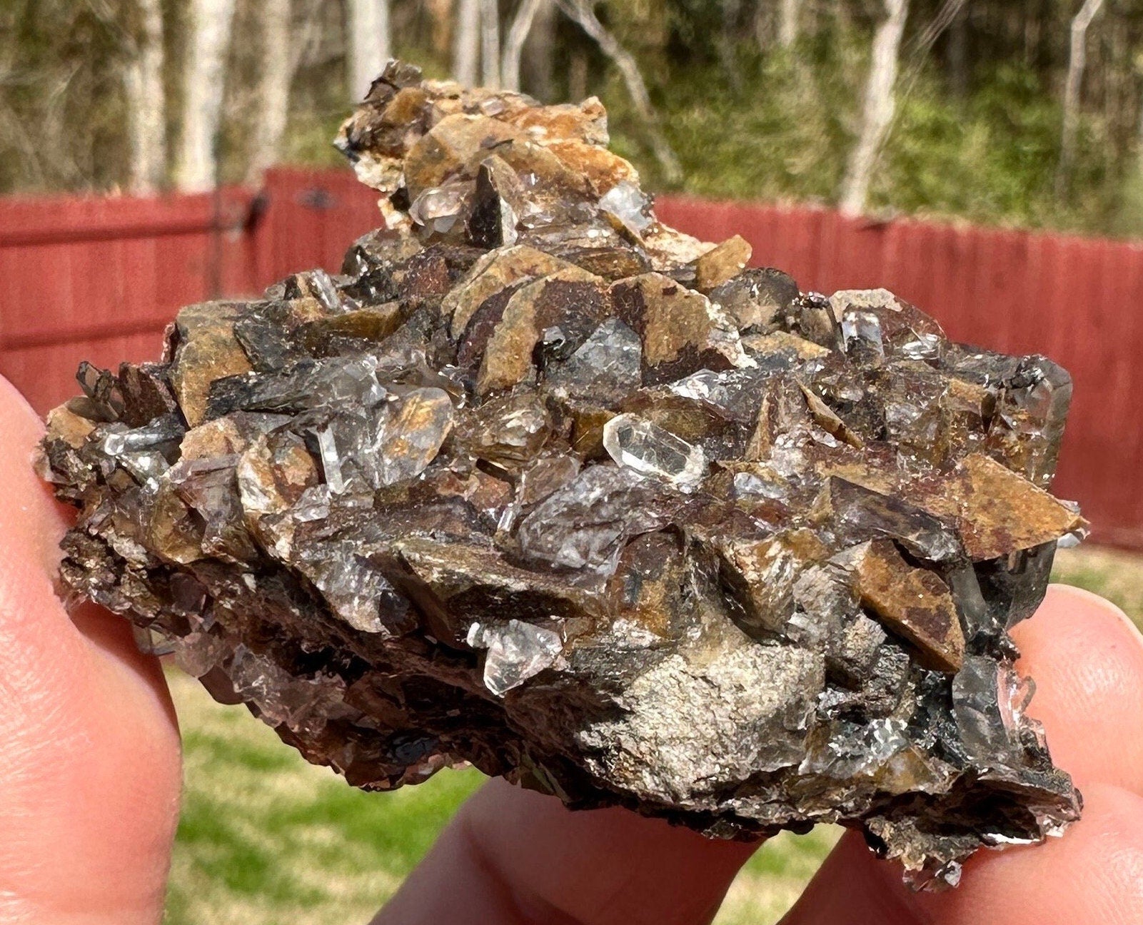 70 Grams Brown siderite with an uncommon needle tabby like quartz points formation