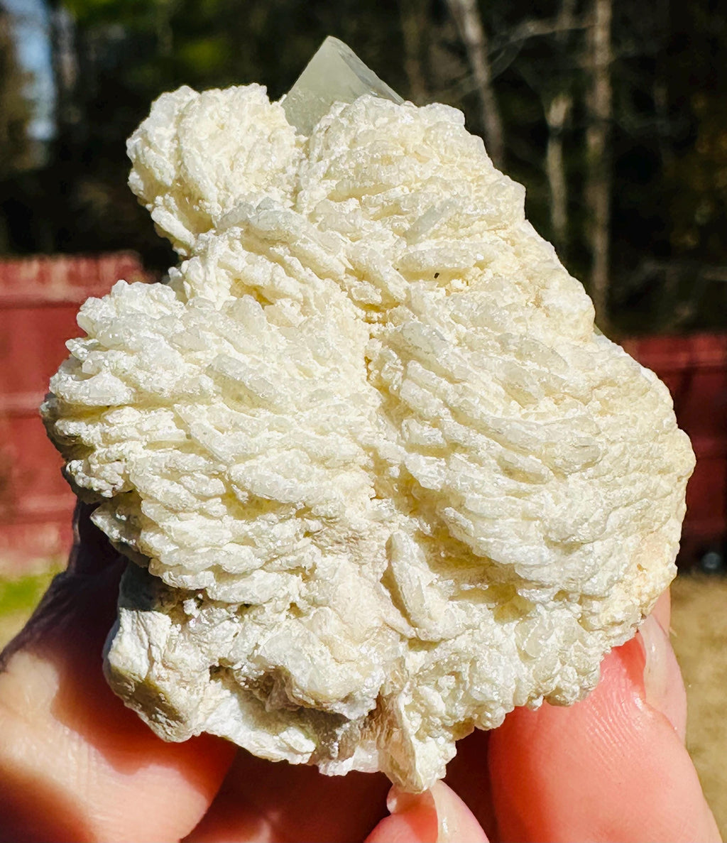53 grams Goshenite Beryl in Albite from Pakistan