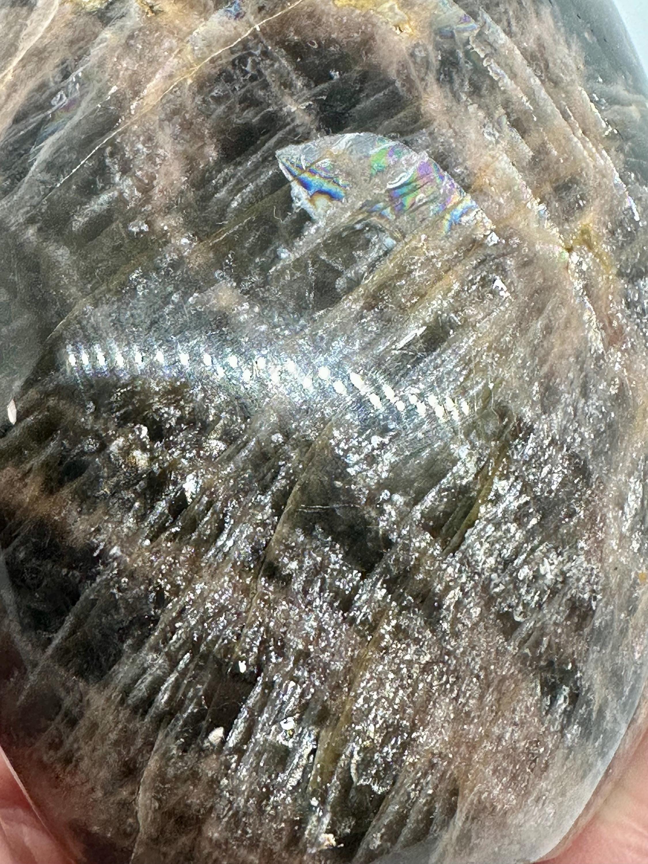 596 Grams Black Moonstone with Rainbows Free Form Madagascar