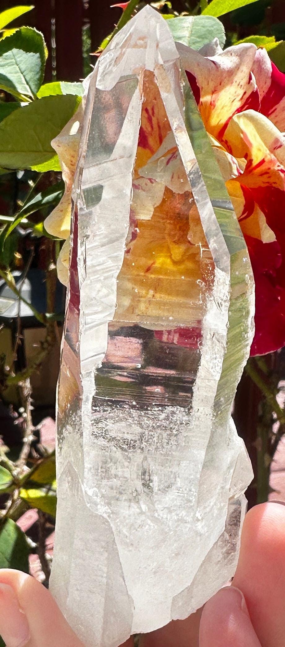 200 Grams Stunning Diamantina Glass Clear Muzo Habit Authentic Blue Needles Lemurian Quartz from Diamantina Mines of Minas Gerais