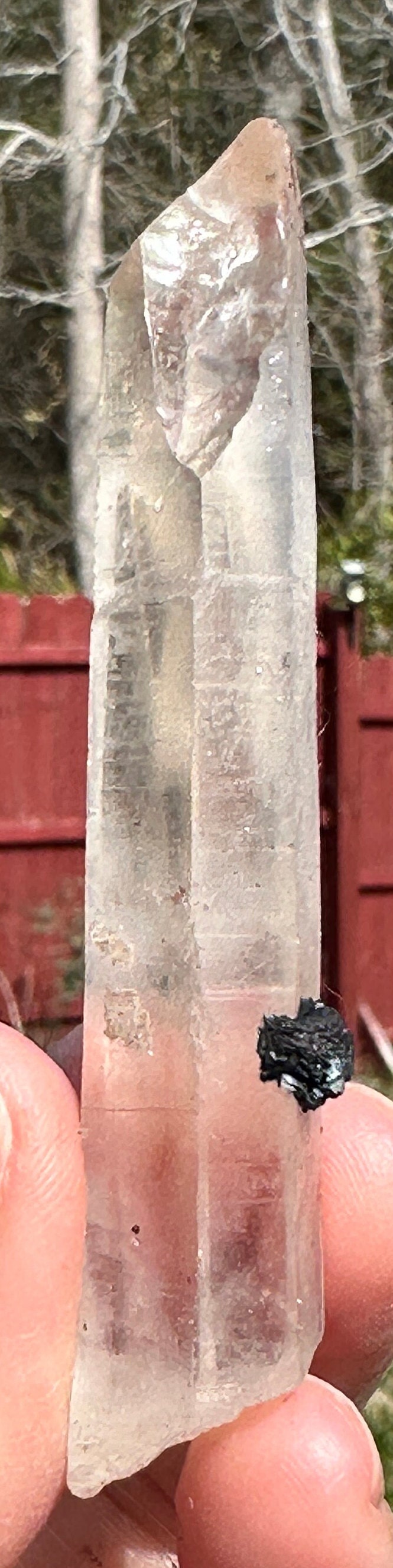 54 Grams very peculiar singing Pair of Clear Quartz Points with Specularite Rosettes