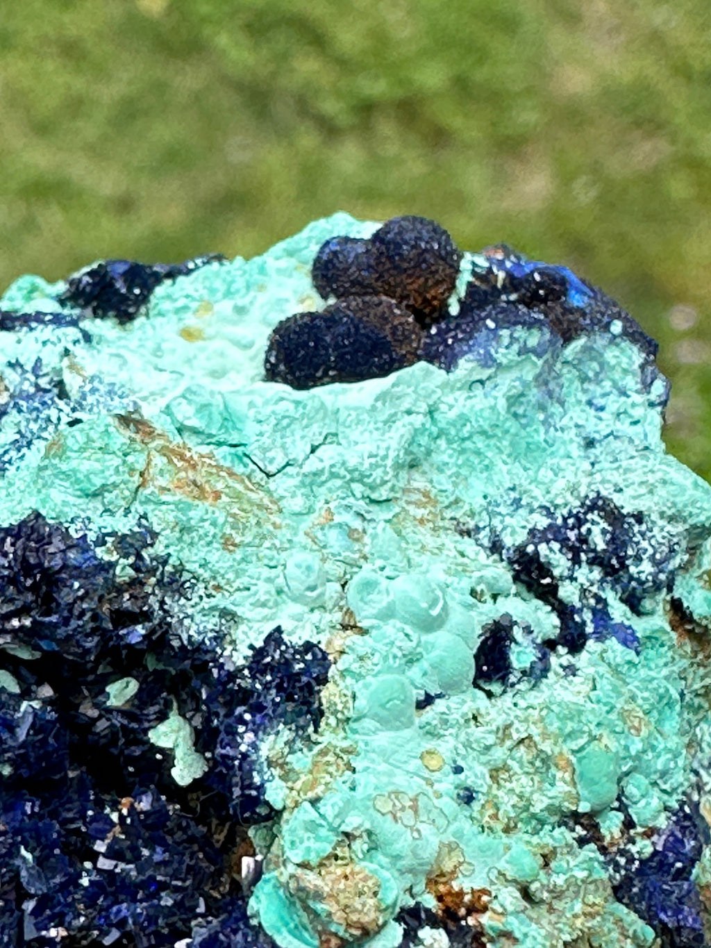 118 Grams Amazing Azurite Crystals and “Blueberries “ Cluster in Chrysocolla with some Orbicular Zoning