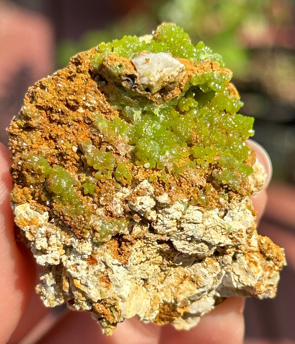 Very Sparkly Bright Green Pyromorphite Specimens / boitroyd or flower like formation