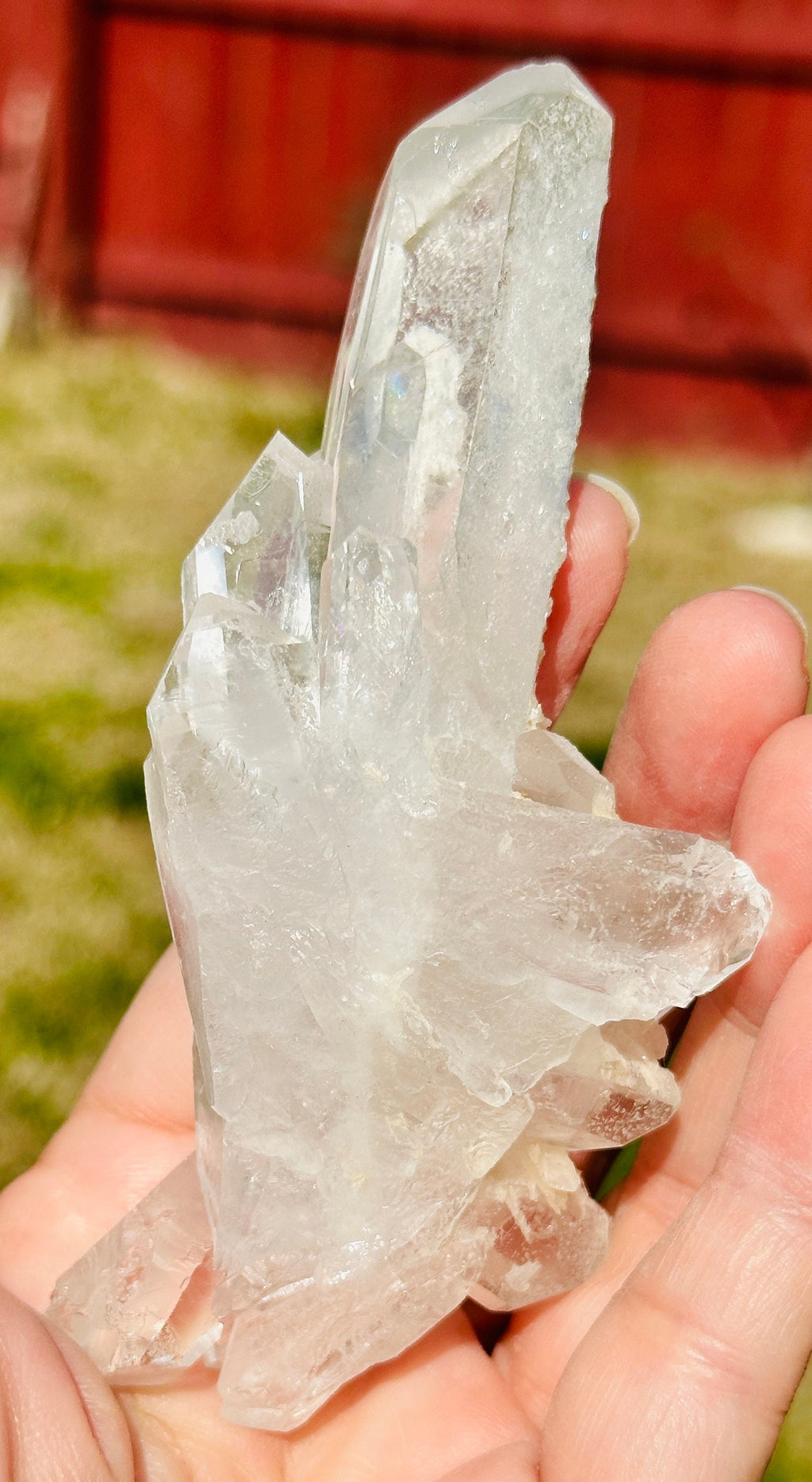 157 Grams Beautiful and Very Special Starbrary Point in a  Clear Quartz Cluster of several DT points.