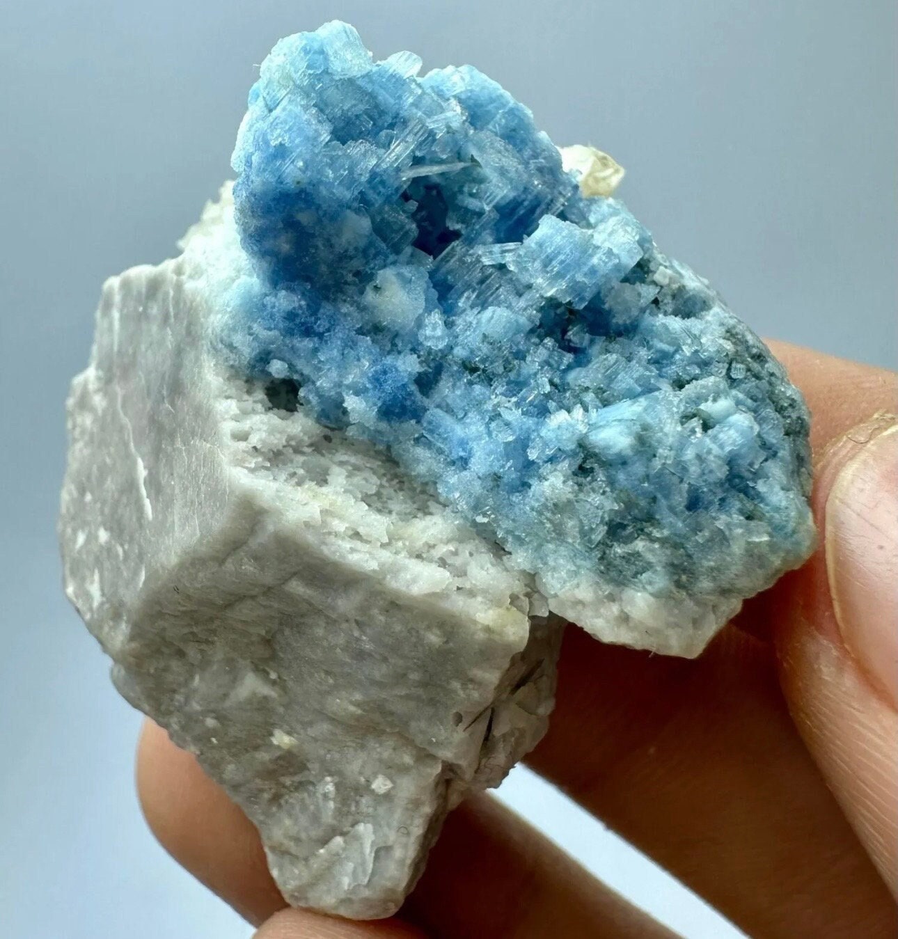 24 Grams / 120 cts Rare Rich Blue Alkali Beryl Crystal Bunch on Albite matrix from Afghanistan
