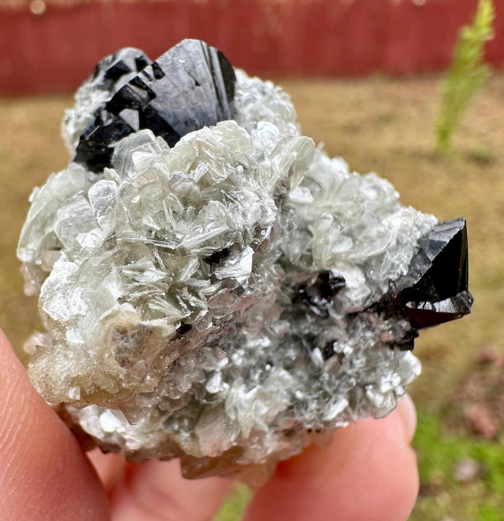 95 Grams Cassiterite Cluster with Silvery Muscovite & Fluorescent Calcite from Afghanistan