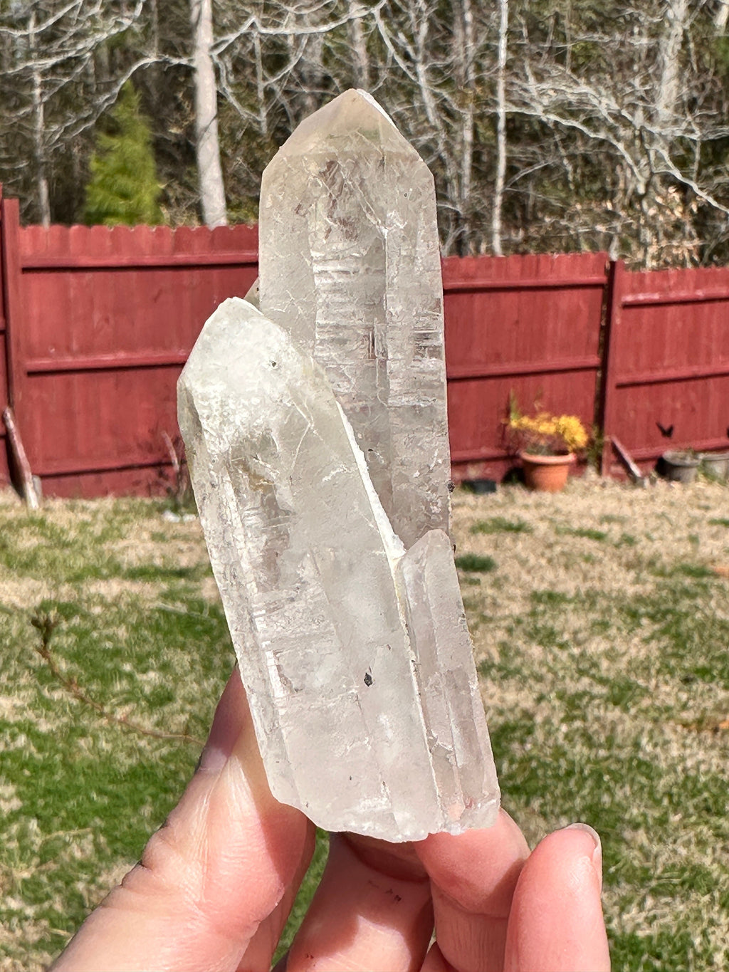 125 Grams Clear Quartz Point with mini Specularite Rosettes