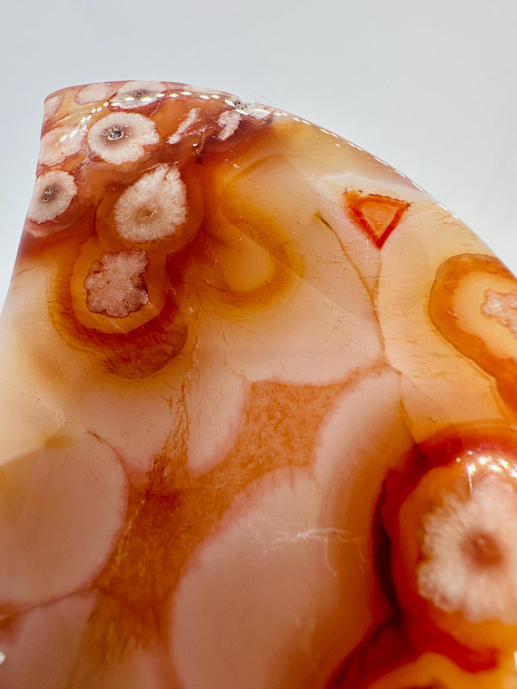 222 Grams Carnelian & Flower Agate Crescent Moon From Madagascar