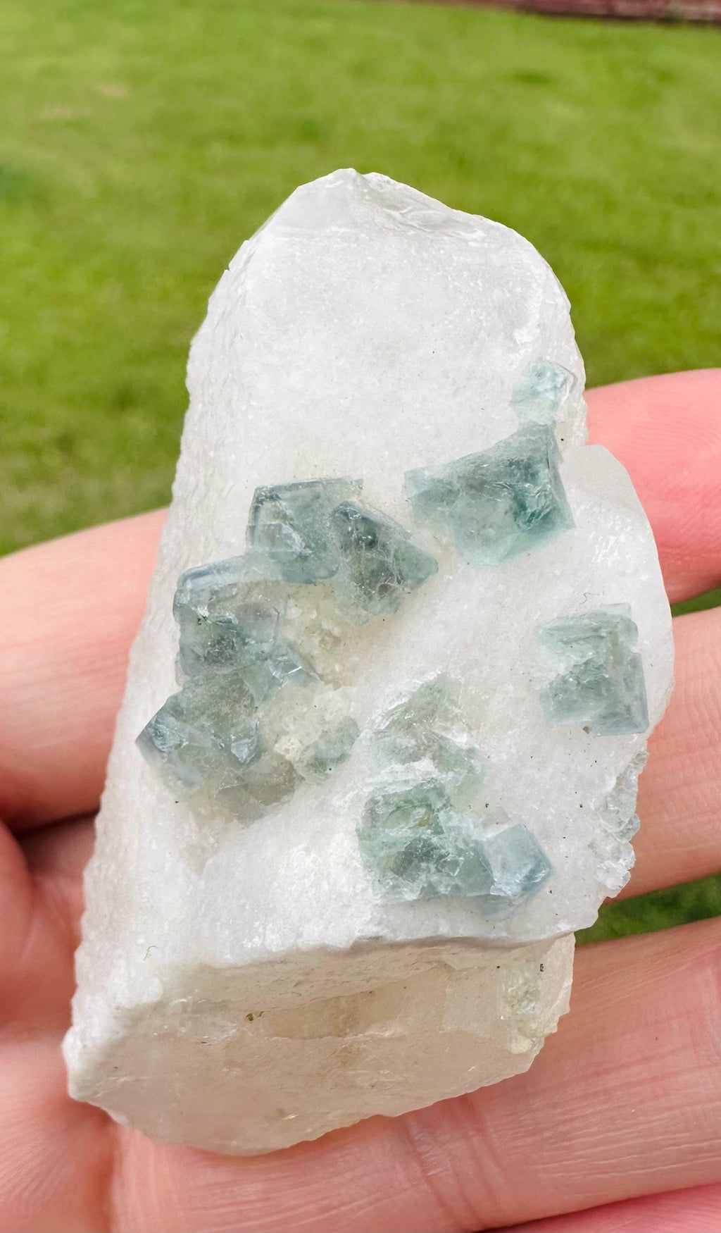 Natural Rare Green Octahedron Fluorite Crystal Mineral Specimen Huanggangliang