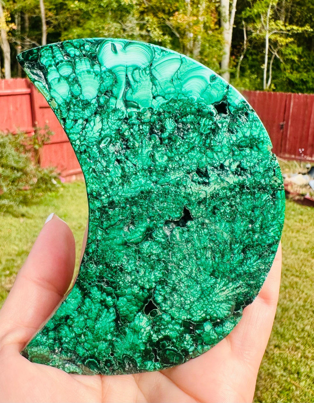 225 grams Gorgeous Malachite Crescent Moon with metal stand