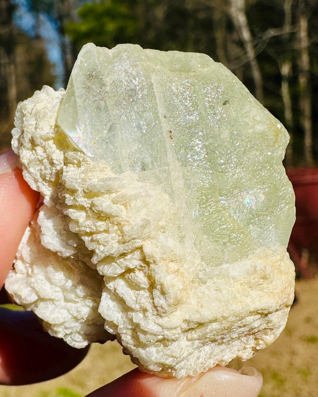53 grams Goshenite Beryl in Albite from Pakistan